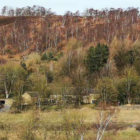 Robin Hood Farm B&B Баслоу Экстерьер фото