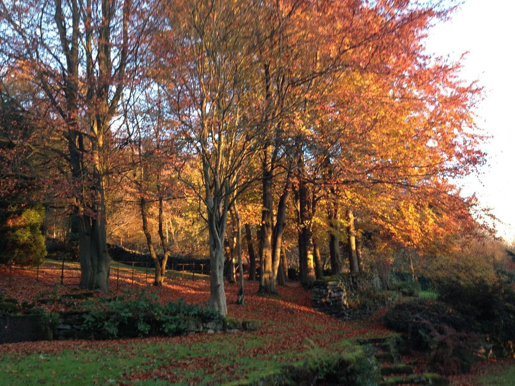 Robin Hood Farm B&B Баслоу Экстерьер фото