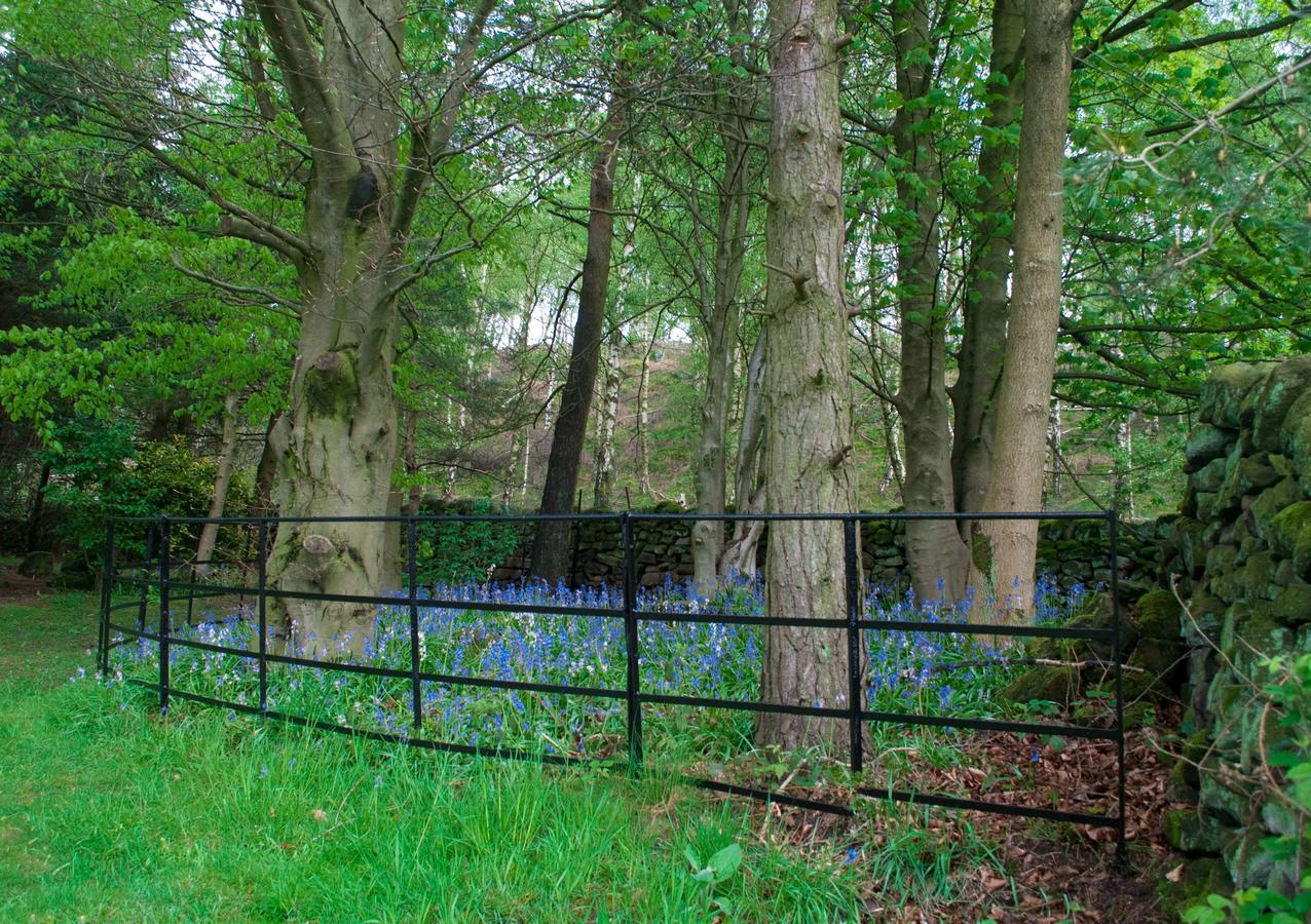 Robin Hood Farm B&B Баслоу Экстерьер фото